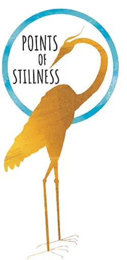 Points_of_Stillness_Color.webp