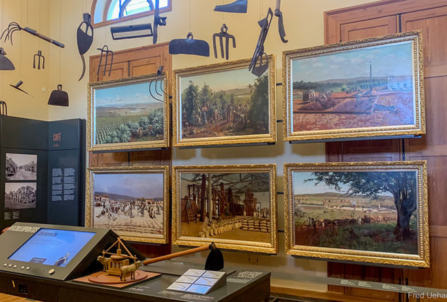 Novo Museu do Ipiranga 2022 (38).jpg