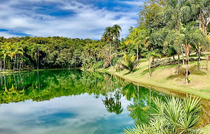 Instituto Inhotim - Fredy Uehara - Uehara Foto & Vídeo (26).jpg