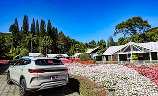 BYD Song Plus Premium (49).jpg