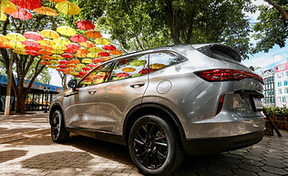 Haval H6 HEV (48).jpg