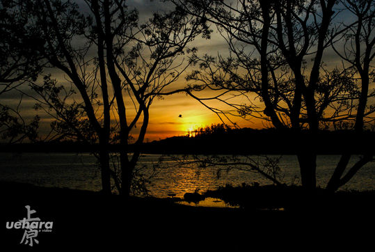 Clube de CampoSP.jpg