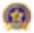 NotaryStarsCNSP certified notary signing professinal.png