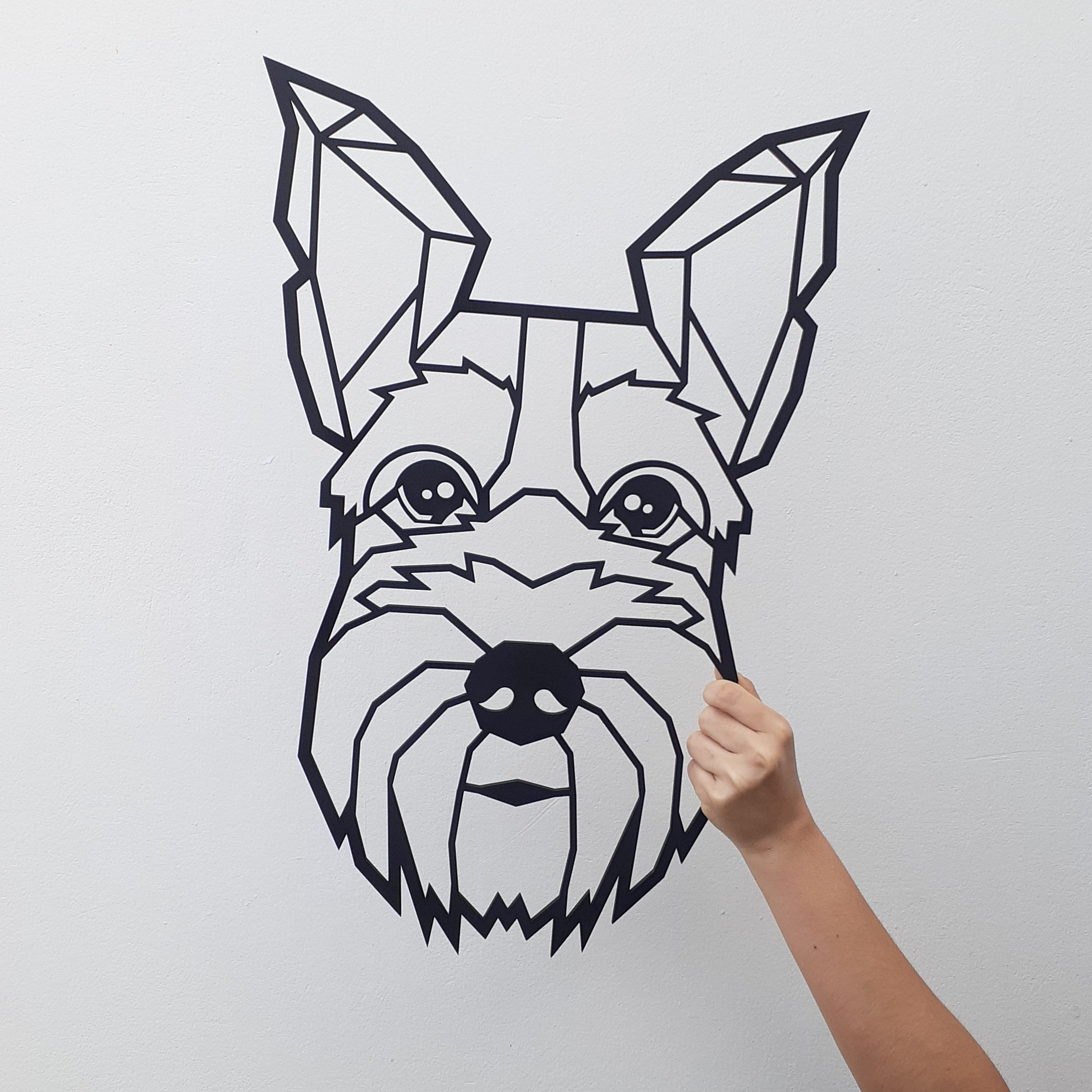 Schnauzer