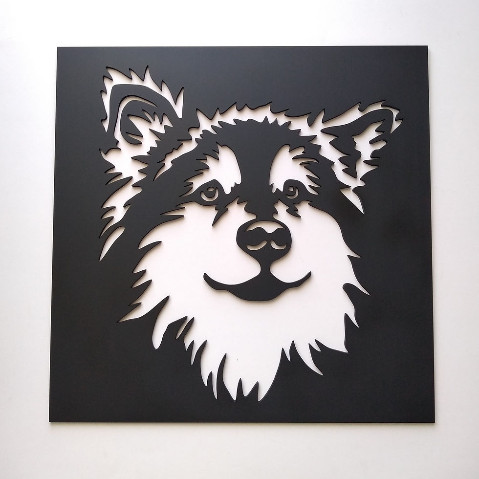 Miniatura: Alaska Malamute