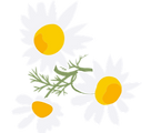 Fleurs de Bach