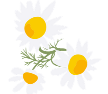 Fleurs de Bach
