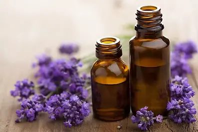 depositphotos_12751885-stock-photo-essential-oil-and-lavender-flowers.jpg
