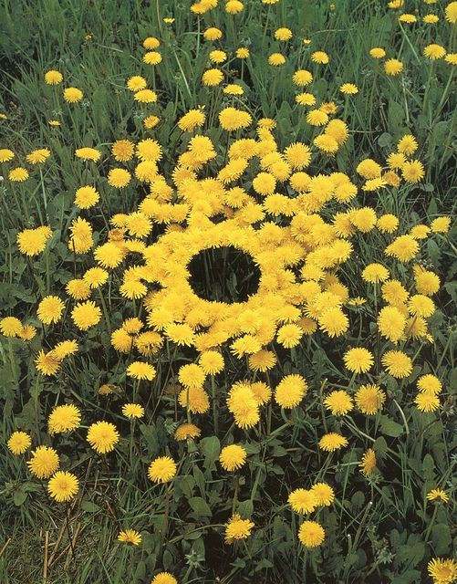 Andy Goldsworthy.jpg