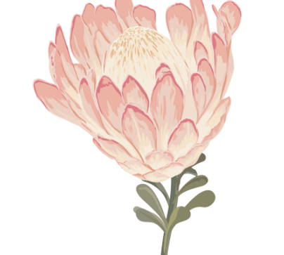 Bloomed flower small.png