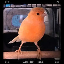 2018-08-12 17.01.20.jpg