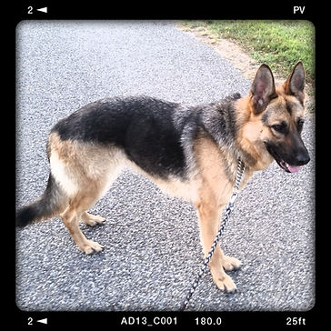 2018-08-12 17.07.23.jpg