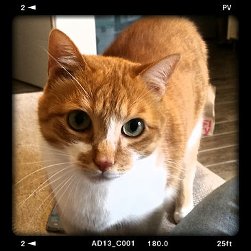 2018-08-25 19.07.33.jpg