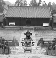 kungfutraining.jpg