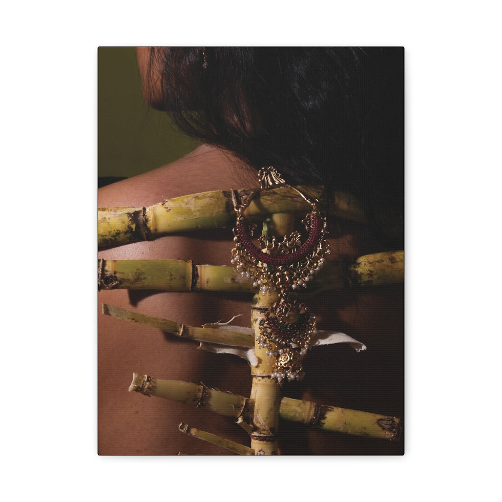 Thumbnail: Daughter of an Immigrant — Sugarcane Spine Canvas Art
