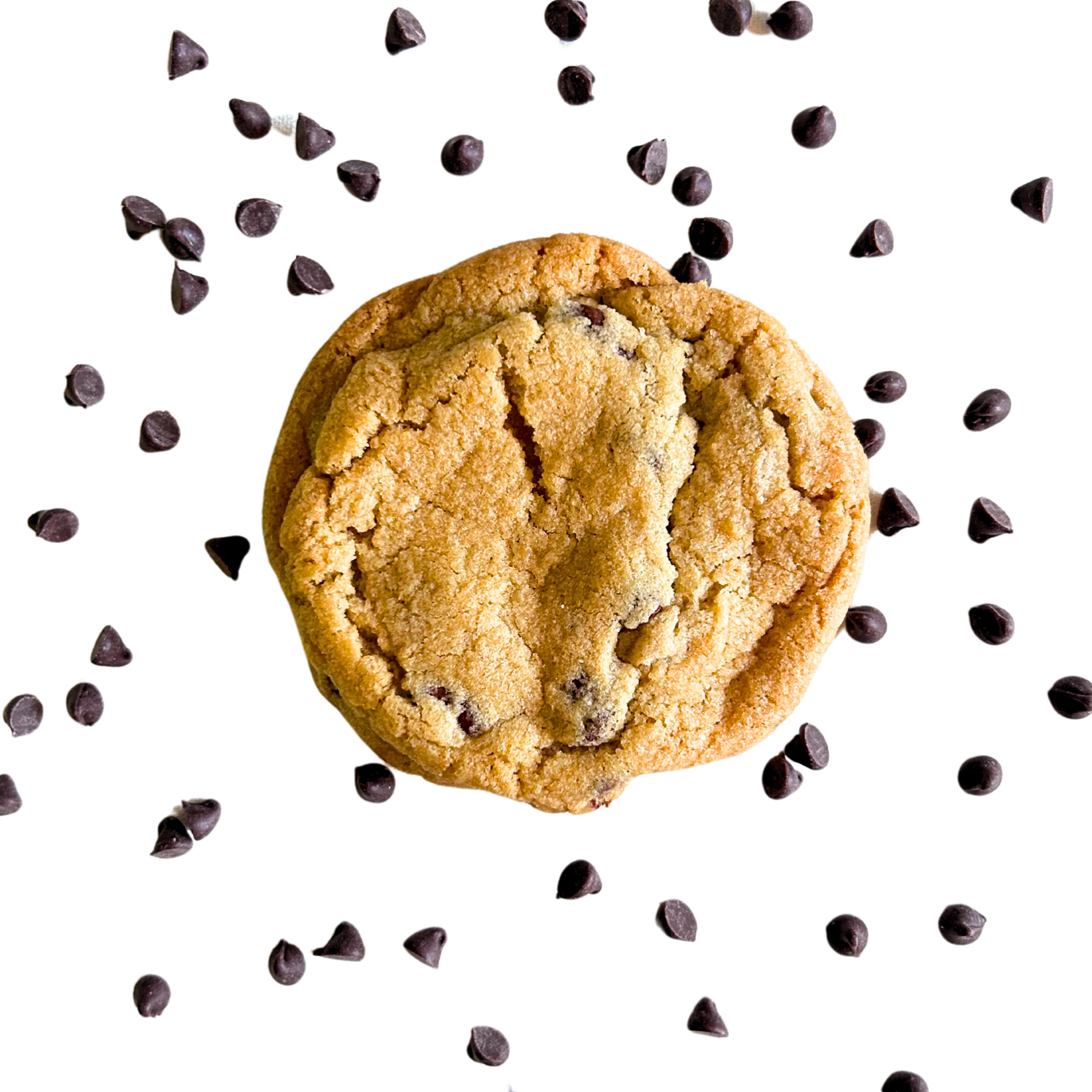 Chocolatey Chip