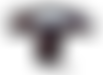 LA CREATIVIDAD, ÚNICO MEDIO DE SUPERVIVENCIA (Seccionador de Potencia)