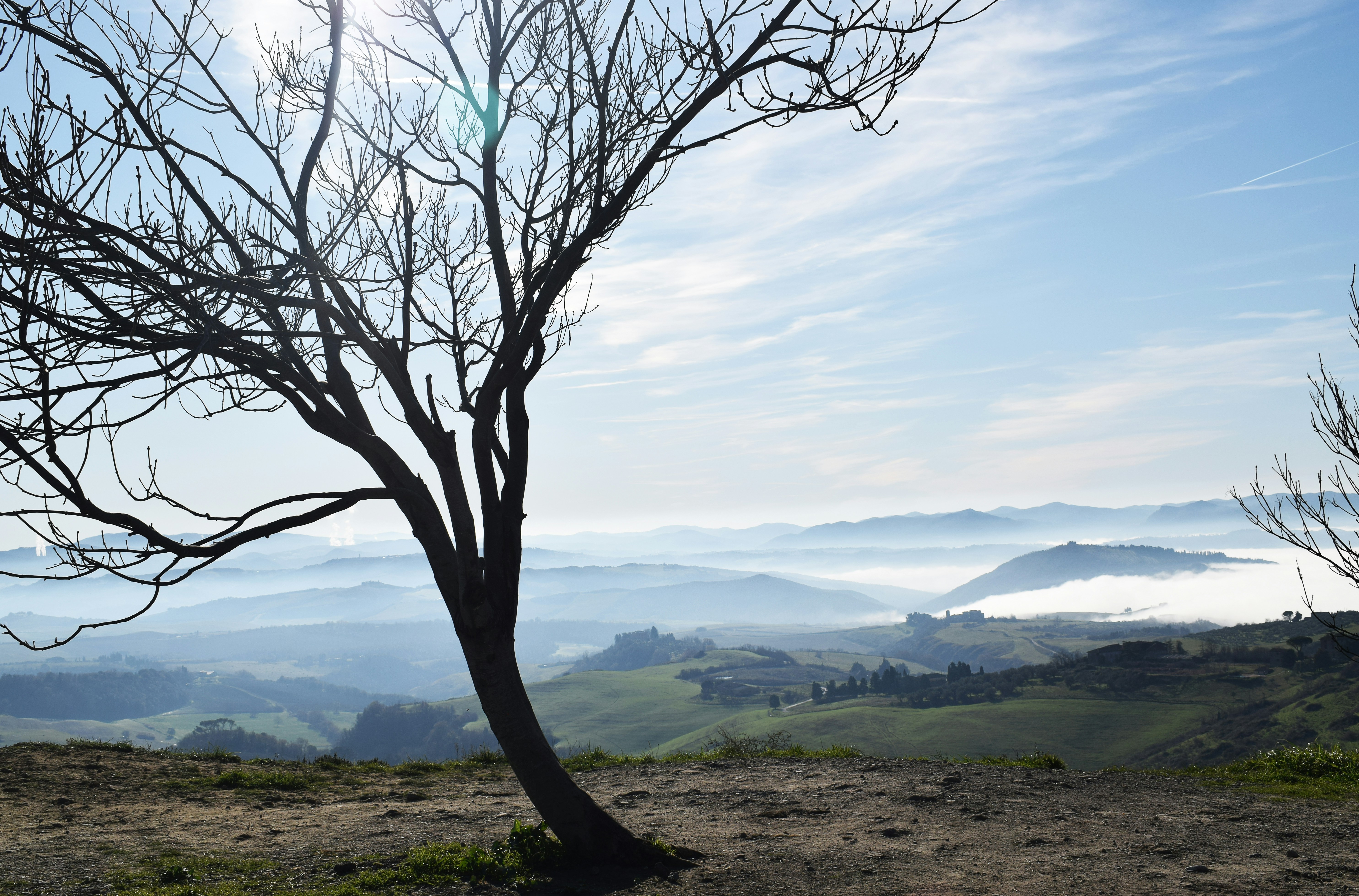 Crete Senesi landscape near Siena, Tuscany — lone tree on foggy clay hill