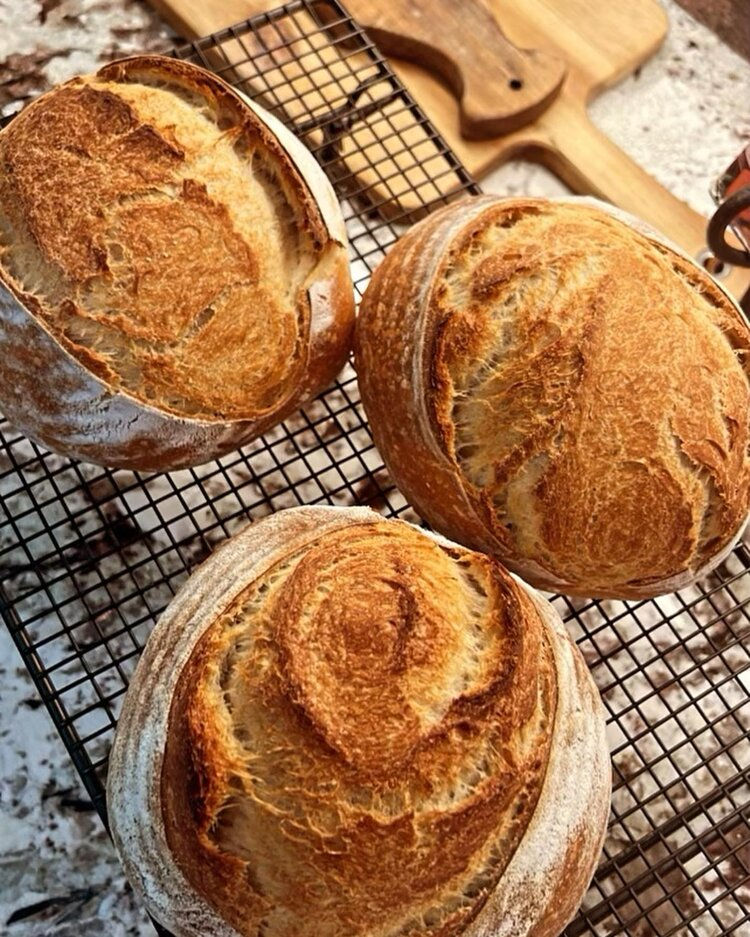 image-asset (4).jpeg