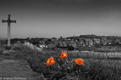 Alnmouth poppies