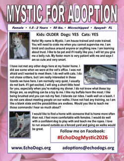 Mystic Adoption Flyer 9-2-26