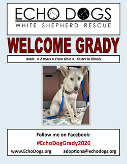 Grady Welcome Flyer 6-30-26