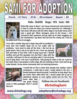 Sami Adoption Flyer 7-18-26