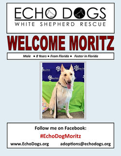 Moritz Welcome Flyer 6-30-26