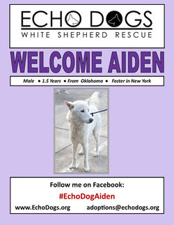 Aiden Welcome Flyer 7-26-26