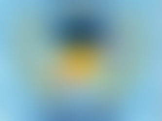 Pallanuoto Como premia Sport e Studio