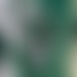 Seiko inclui GMT na linha Prospex