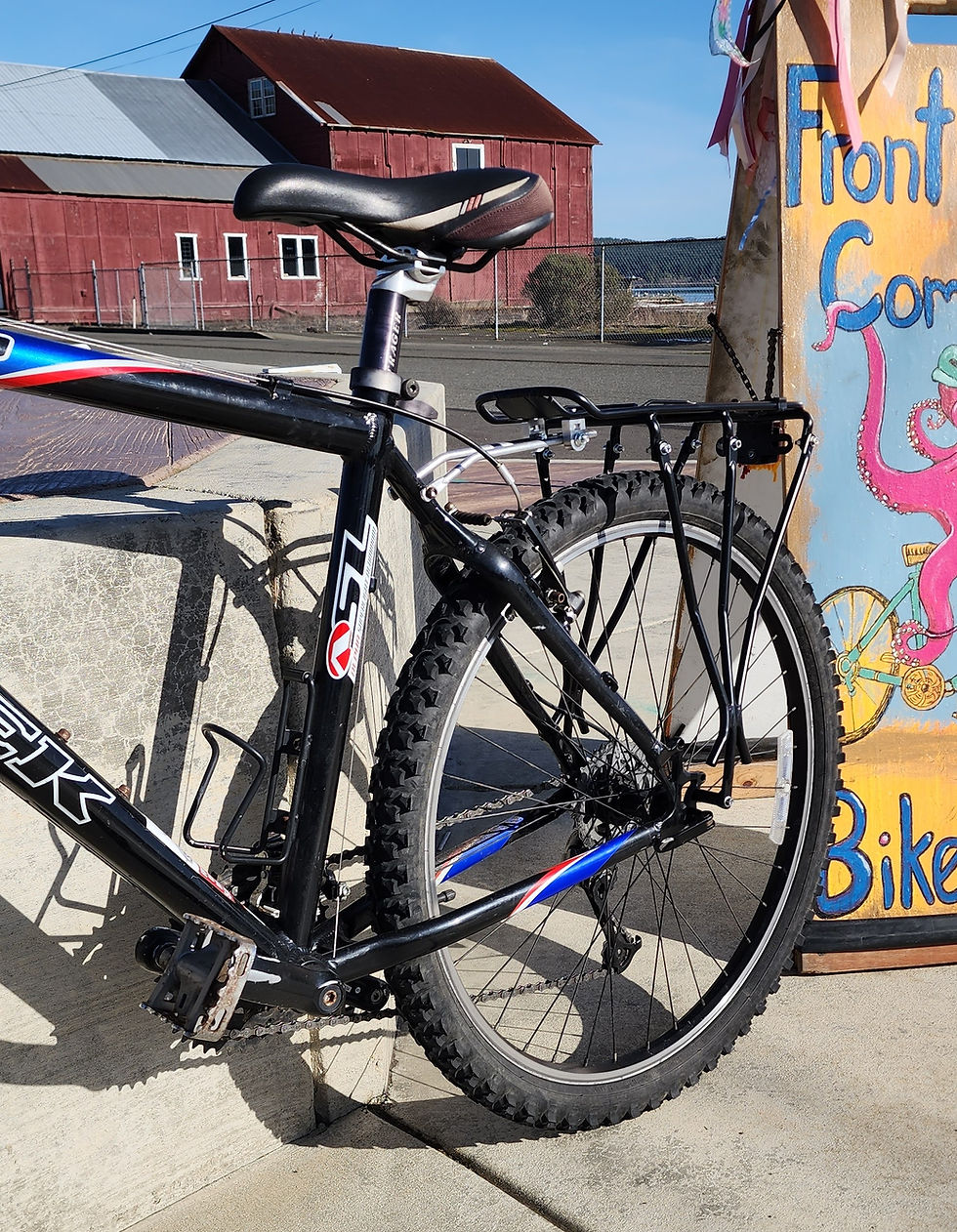 Thumbnail: Trek 4500