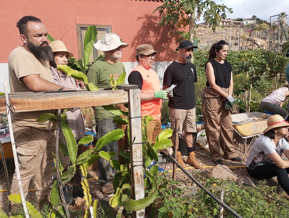 WhatsApp Image 2025-06-15 at 00.32.01