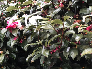 冬ターム BELLS #4