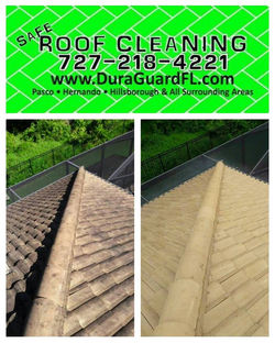 Tile roof cleaning and sealing