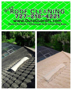 Tile roof cleaning and sealing