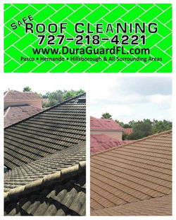 Tile roof cleaning and sealing