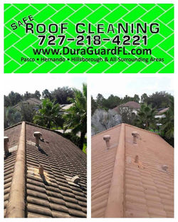 Tile roof cleaning and sealing