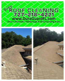 Tile roof cleaning and sealing