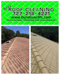 Tile roof cleaning and sealing