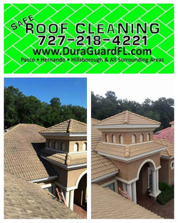 Tile roof cleaning and sealing