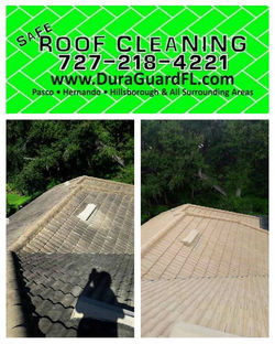 Tile roof cleaning and sealing