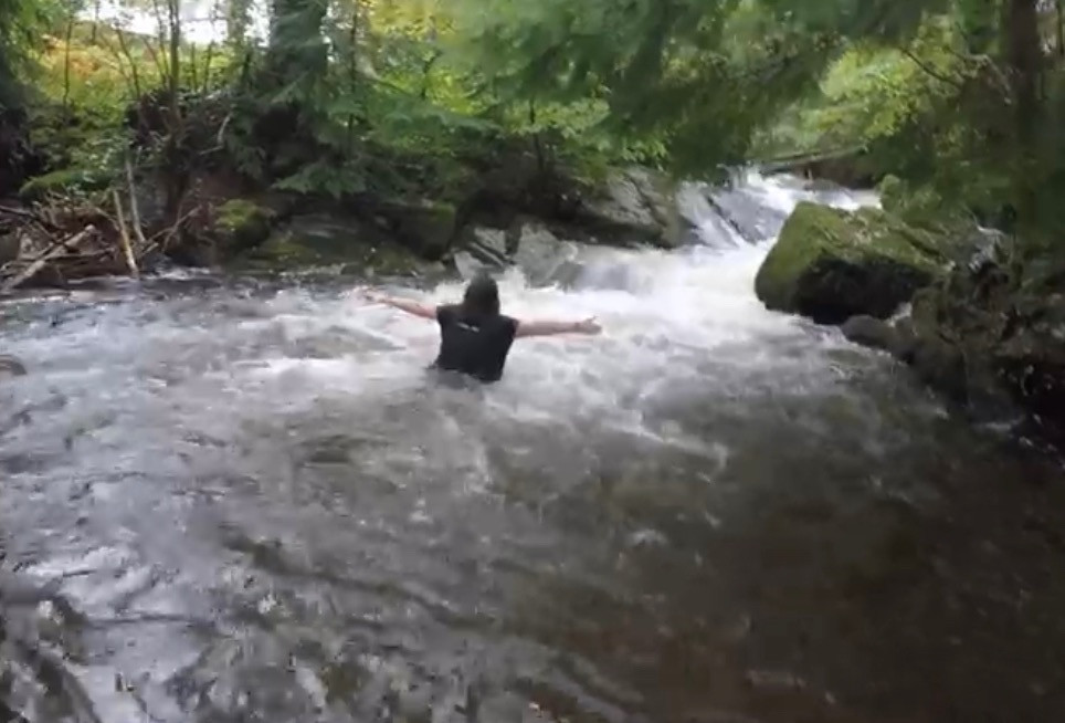 Silly Human – Wild Swimming