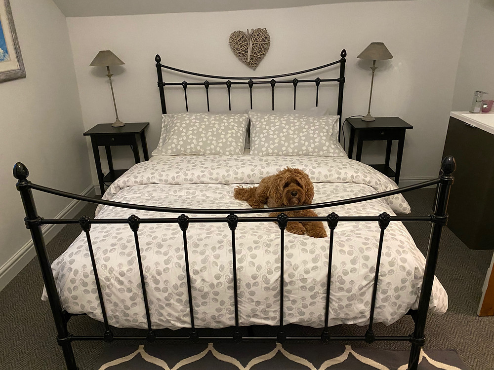 Little Rea in the Grey Bedroom – Hafod Owen