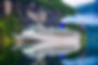 cruise-ship-cruise-liners-geiranger-fjord-norway.jpg