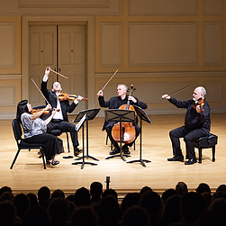 04 The String Quartet.png