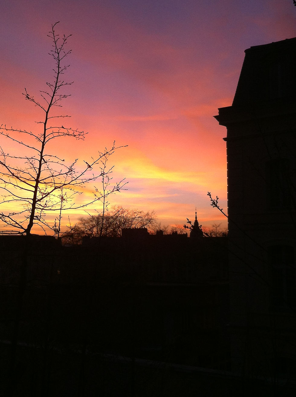 Nature | Coucher de soleil