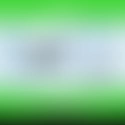 How Can Doctors Use SEO to Attract More Local Patients?