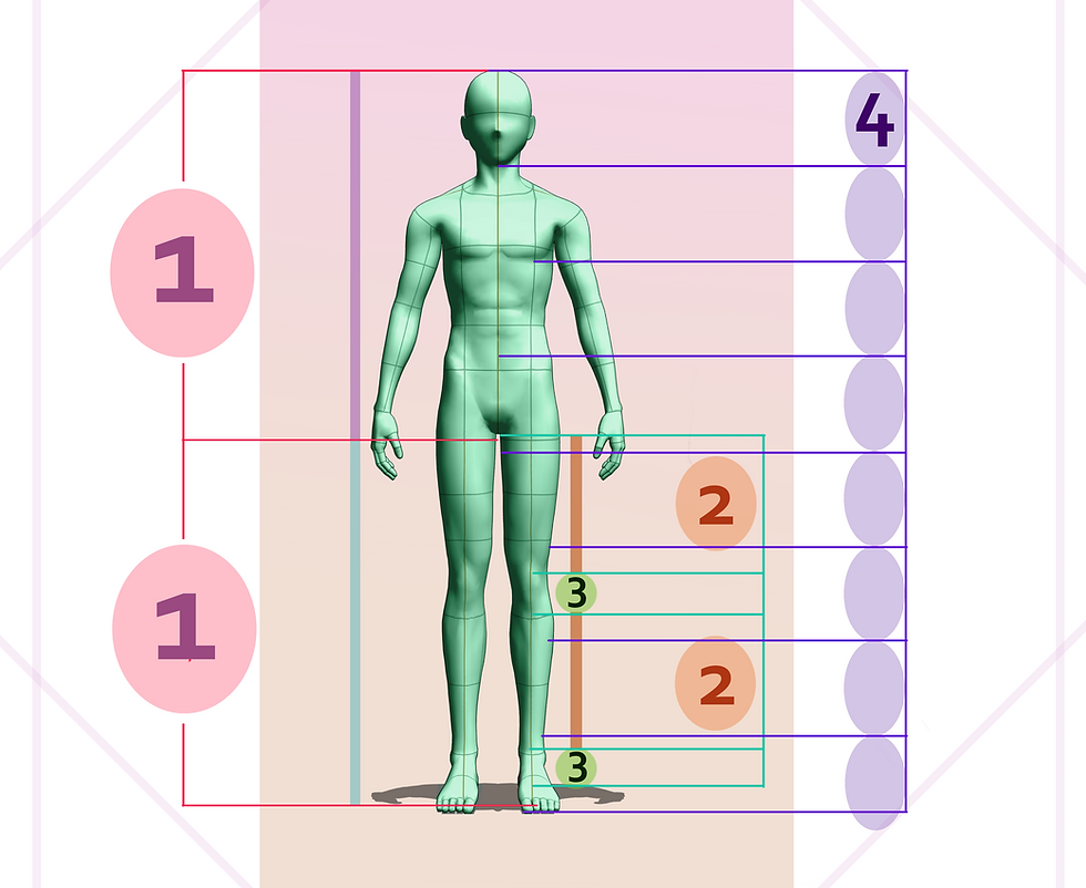 Proportional-Guidelines-Every-3D-Artist-Should-Know