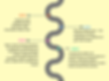 History of Biblioverse